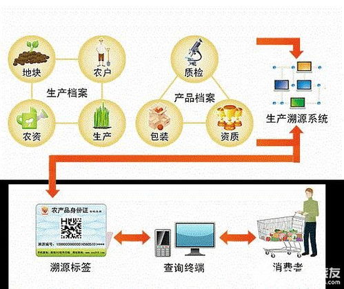 構建基于農業物聯網的食品安全溯源系統 技術方案與服務模式